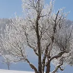 Pfindlhof 3*